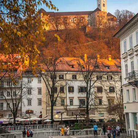 Sunny * Ljubljana